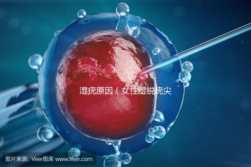 濕疣原因（女性濕銳疣尖初期圖片）