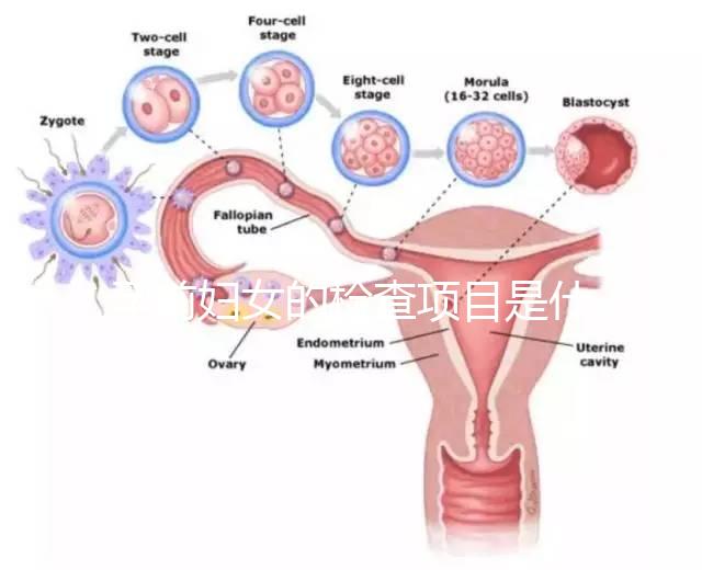 孕前婦女的檢查項目是什么？