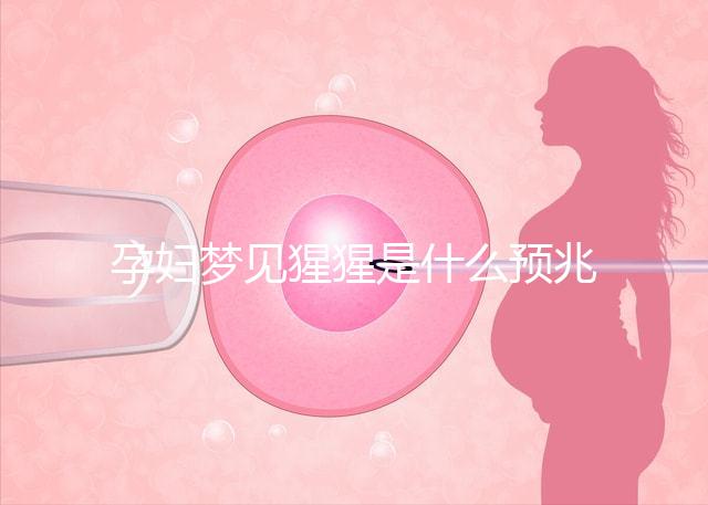 孕婦夢見猩猩是什么預兆？帶你了解相關(guān)胎夢解讀