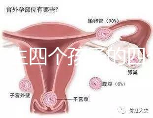 寧夏生四個孩子的四個女孩補貼多少2024年，給2萬元或非謠言