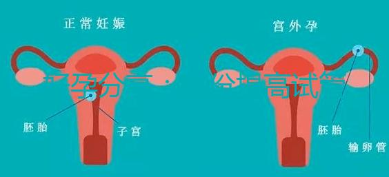 好孕分享：這份提高試管移植著床率的偏方快收藏！全是干貨