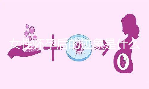 女性懷孕后的跡象是什么？