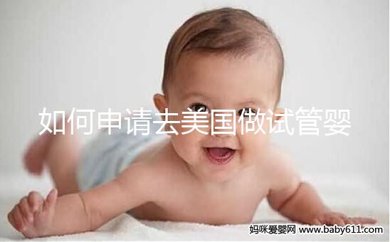 如何申請去美國做試管嬰兒？看看202年最全面的簽證流程