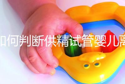 如何判斷供精試管嬰兒離婚，會不會一目了然地判給女方？