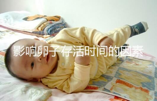 影響卵子存活時(shí)間的因素剖析:年齡起主導(dǎo)作用