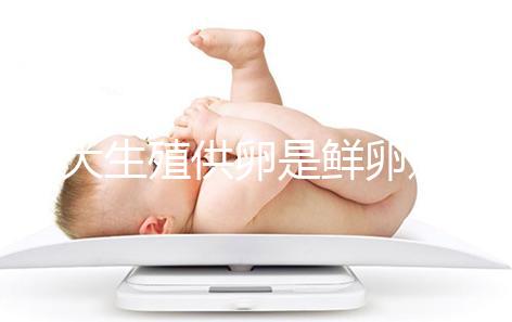 山大生殖供卵是鮮卵還是凍卵分情況，別還不清楚質量如何