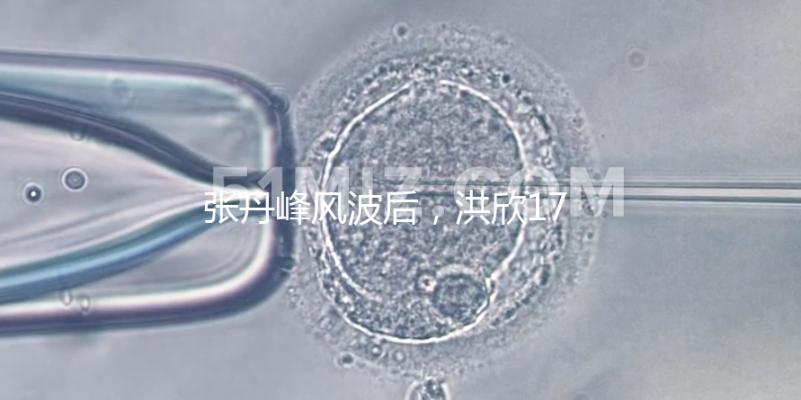 張丹峰風(fēng)波后,洪欣17歲兒子表白媽媽一家人疑似和好如初