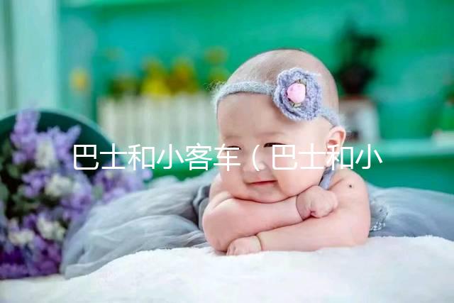 巴士和小客車（巴士和小客車的區別）