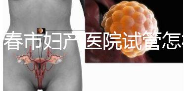 長春市婦產醫院試管怎樣問題解答，助孕成功率、費用可作參考