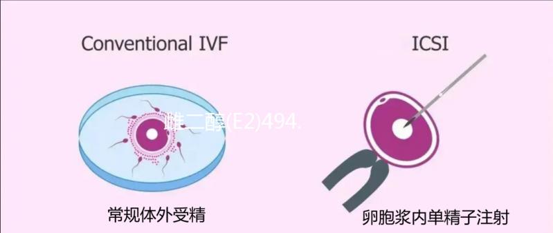 雌二醇(E2)494.9,據(jù)化驗單分析需超聲看胎芽