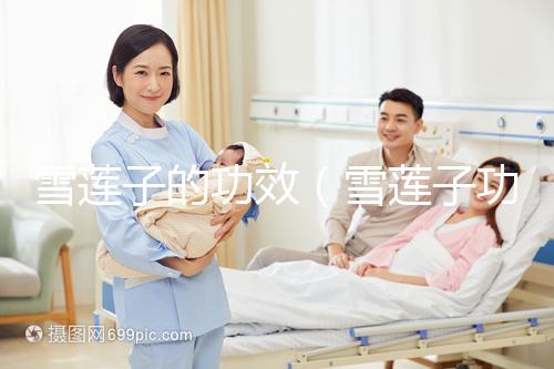 雪蓮子的功效(雪蓮子功能主治)