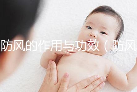 防風(fēng)的作用與功效(防風(fēng)的作用與功效與作用)