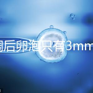 降調后卵泡只有3mm時不要慌，多吃豆類即可恢復正常