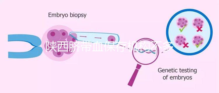 陜西臍帶血保存機構不多，咸陽想自存請準備好費用去合肥