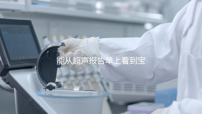 能從超聲報告單上看到寶寶的性別嗎？