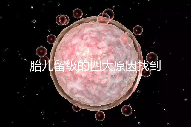 胎兒留級的四大原因找到了!多半和媽媽太懶不運動有關系