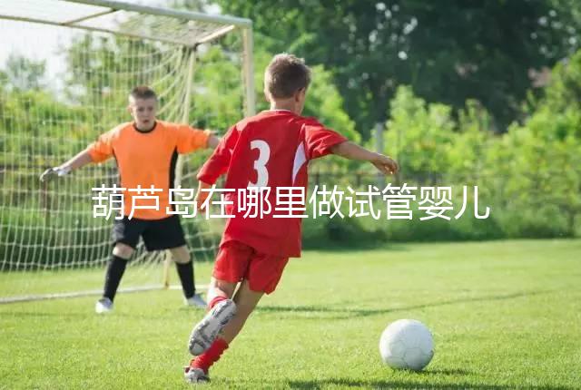 葫蘆島在哪里做試管嬰兒好？盛京和202醫(yī)院是熱門選擇