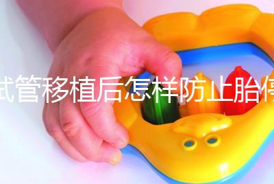 試管移植后怎樣防止胎停育？這3個(gè)靠譜方案請(qǐng)收藏