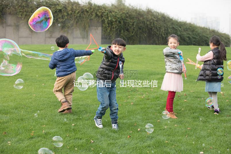 試管移植后，出現這些信號預示著成功懷孕啦！