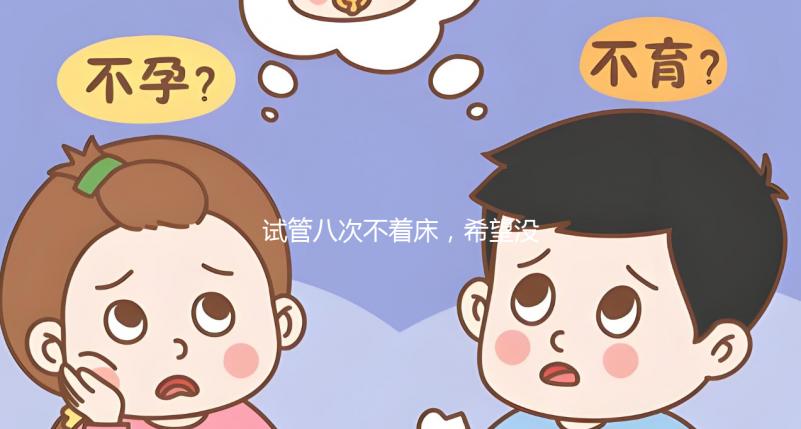 試管八次不著床，希望沒問題回答宮腔環境是關鍵