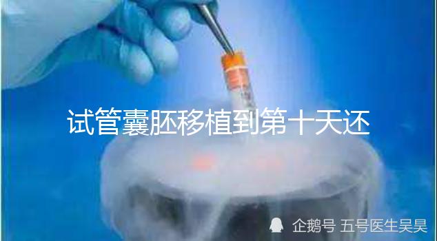 試管囊胚移植到第十天還是白板別擔(dān)心,放松心態(tài)等逆襲吧!