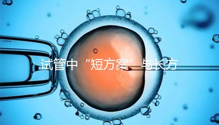 試管中“短方案”與長方案區別分析，時間并非唯一差異
