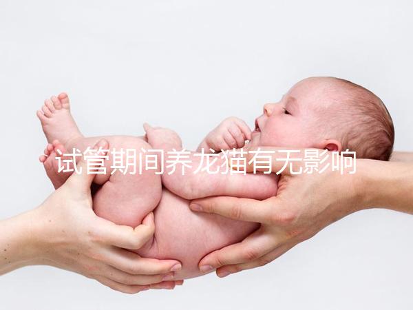 試管期間養龍貓有無影響剖析，是否胎停、流產取決這幾點
