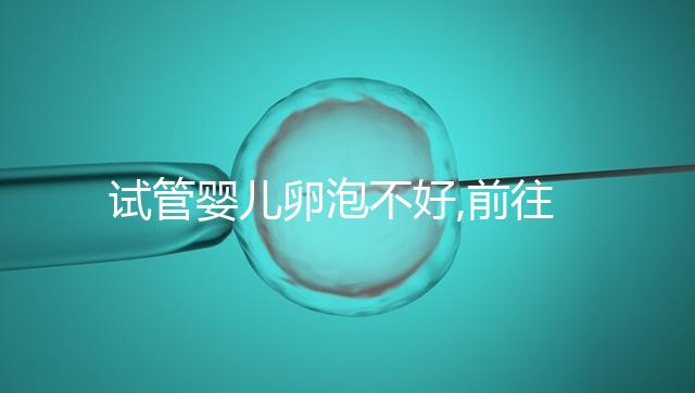 試管嬰兒卵泡不好,前往泰國(guó)助孕?相因告訴你這辦法靠譜