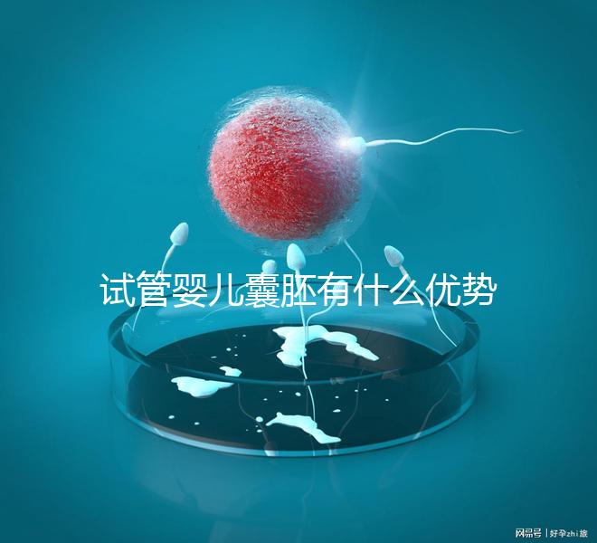 試管嬰兒囊胚有什么優(yōu)勢嗎?