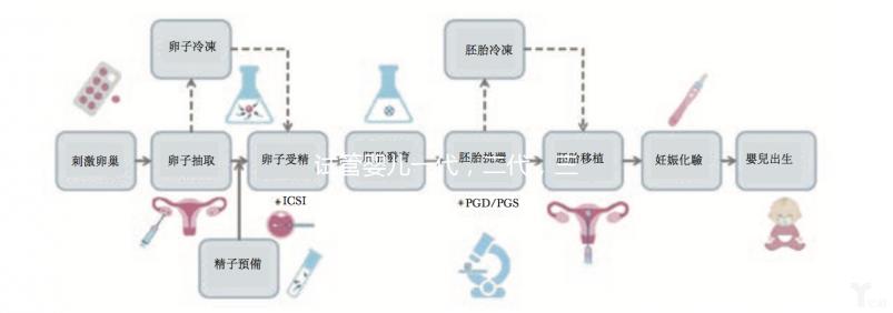試管嬰兒一代，二代，三代有什么區別嗎，應該如何選擇？
