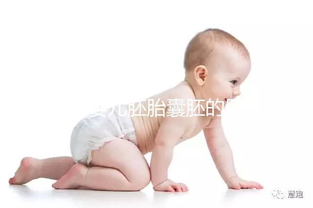 試管嬰兒胚胎囊胚的區別，成功率哪個高