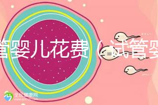試管嬰兒花費(fèi)（試管嬰兒花費(fèi)多少錢？）