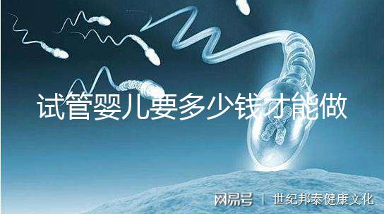試管嬰兒要多少錢才能做(試管嬰兒要多少錢才能做成功)