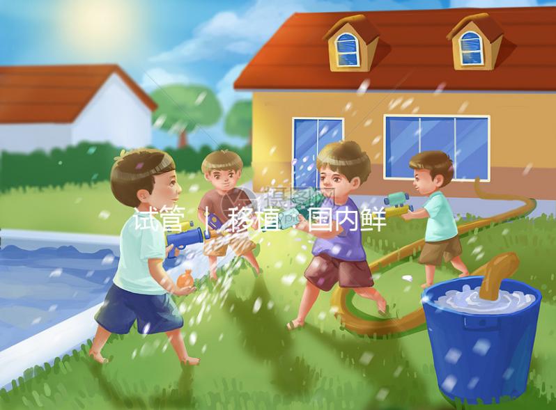試管 | 移植:國(guó)內(nèi)鮮胚和國(guó)外囊胚的區(qū)別