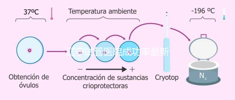 遼寧試管醫(yī)院成功率最新前十排名流出，盛京醫(yī)院竟錯失榜首