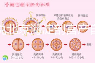 誰說北京海淀剖宮產(chǎn)自付費(fèi)用高，了解2024年生育保險(xiǎn)報(bào)銷比例？