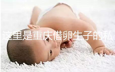 這里是重慶借卵生子的私立好醫(yī)院，附2024前三機(jī)構(gòu)詳細(xì)介紹