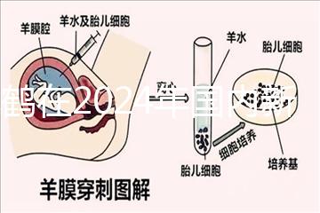 飛鶴在2024年國內新生兒奶粉排行榜上排名第一