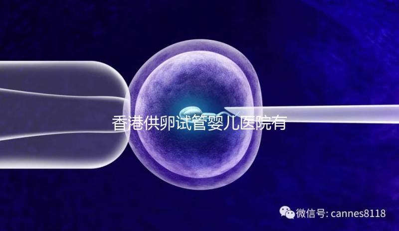 香港供卵試管嬰兒醫院有哪些點？附2024私立機構排名
