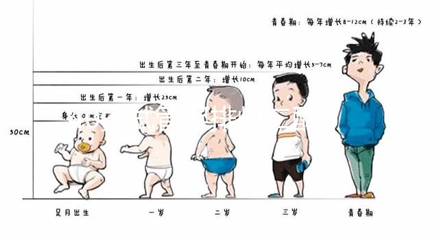 40歲試管促排雌二醇385是否1-2個(gè)卵的答案揭曉,想造戳