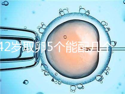 42歲取卵5個能配幾個胚胎難說,只有2個許是技術(shù)差導(dǎo)致