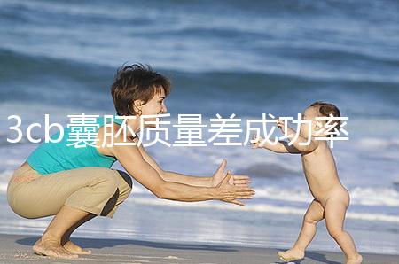 3cb囊胚質量差成功率低?醫生:移植后"好孕"天天有