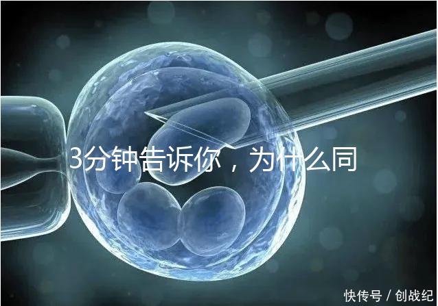 3分鐘告訴你，為什么同卵雙胞胎不會是龍鳳胎