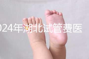 2024年湖北試管費醫(yī)療保險可以報銷？專家：時間還沒到？