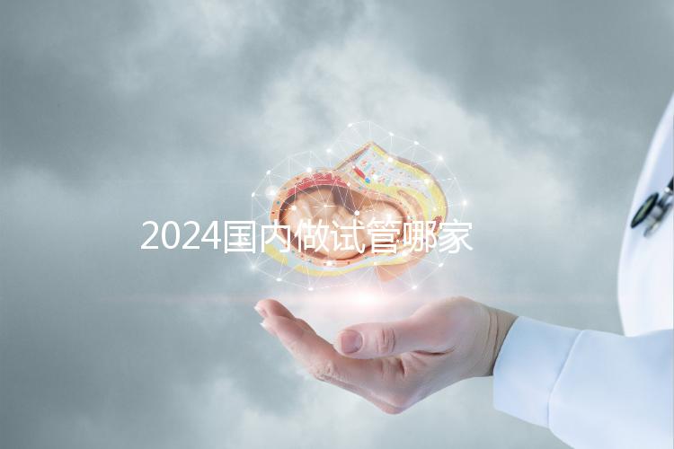 2024國內(nèi)做試管哪家醫(yī)院成功率最高？附排行榜前十名醫(yī)院推薦