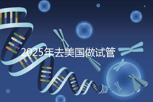 2025年去美國做試管嬰兒的攻略：從醫(yī)院選擇到成功率分析