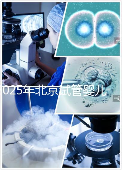 2025年北京試管嬰兒全費用概覽:了解您的預算需求!