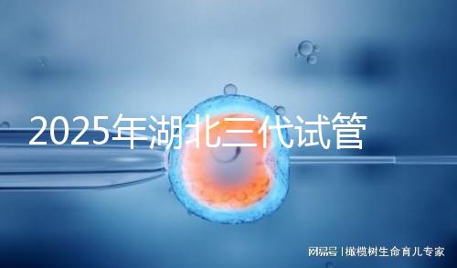 2025年湖北三代試管嬰兒費(fèi)用明細(xì)一覽 附價格清單!