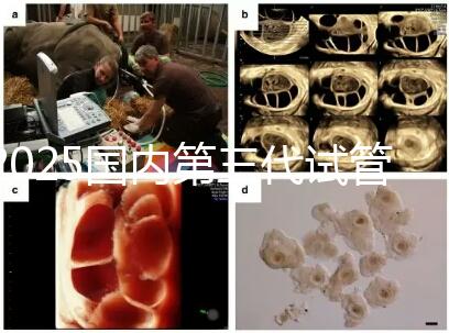 2025國內第三代試管嬰兒技術醫院成功率排名榜,top5名單發布