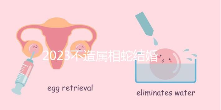 2023不造屬相蛇結(jié)婚跟什么相配？切記和屬豬易犯沖